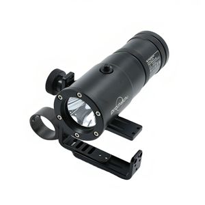 DL-D09M diving light 