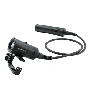 DL-D09 Canister Diving Light  